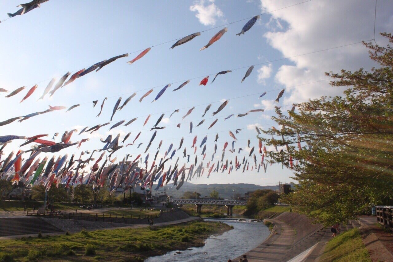 こいのぼりフェスタ1000 高槻市 ずっと茨木にすんでます